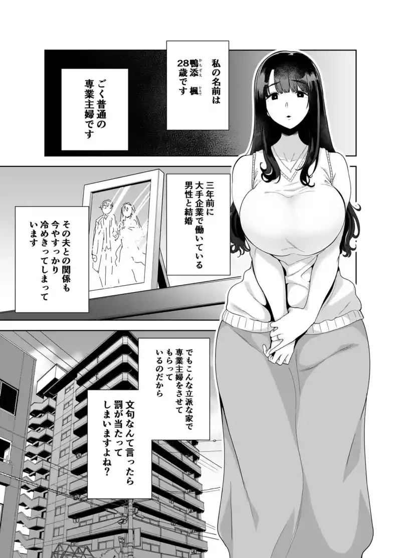 ワイルド式日本人妻の寝取り方 其ノ一 画像1