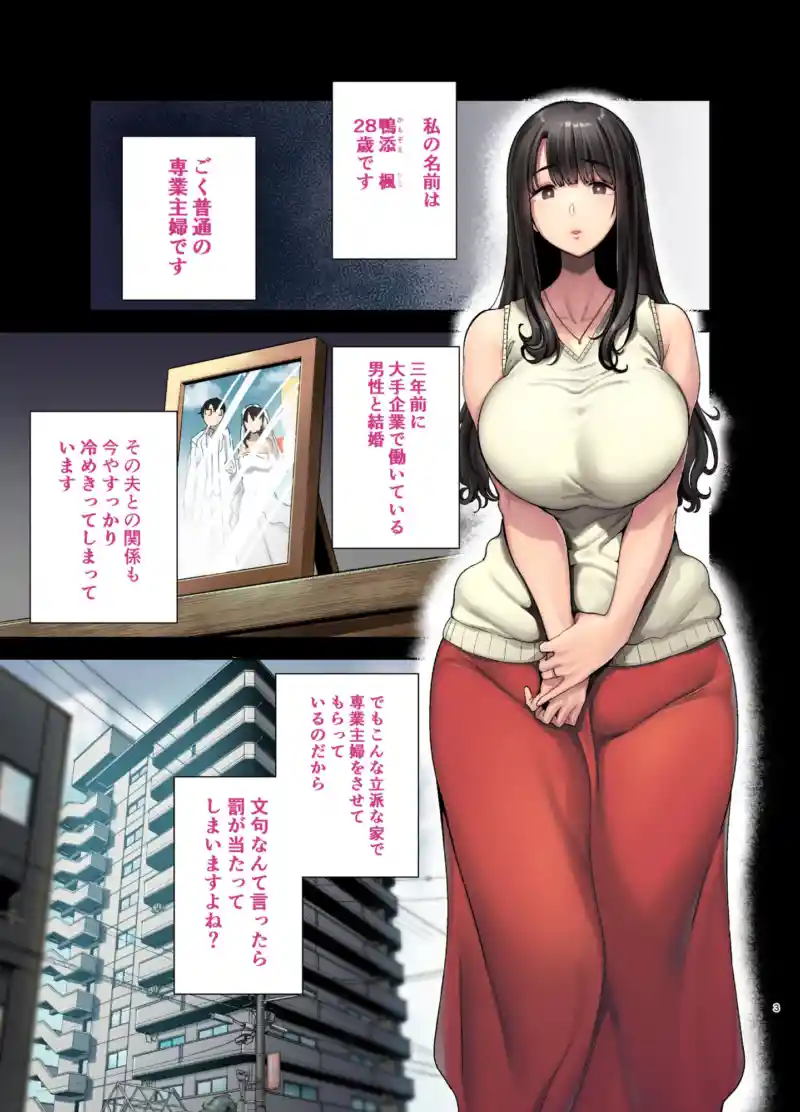 フルカラー版ワイルド式日本人妻の寝取り方 其ノ一 画像1